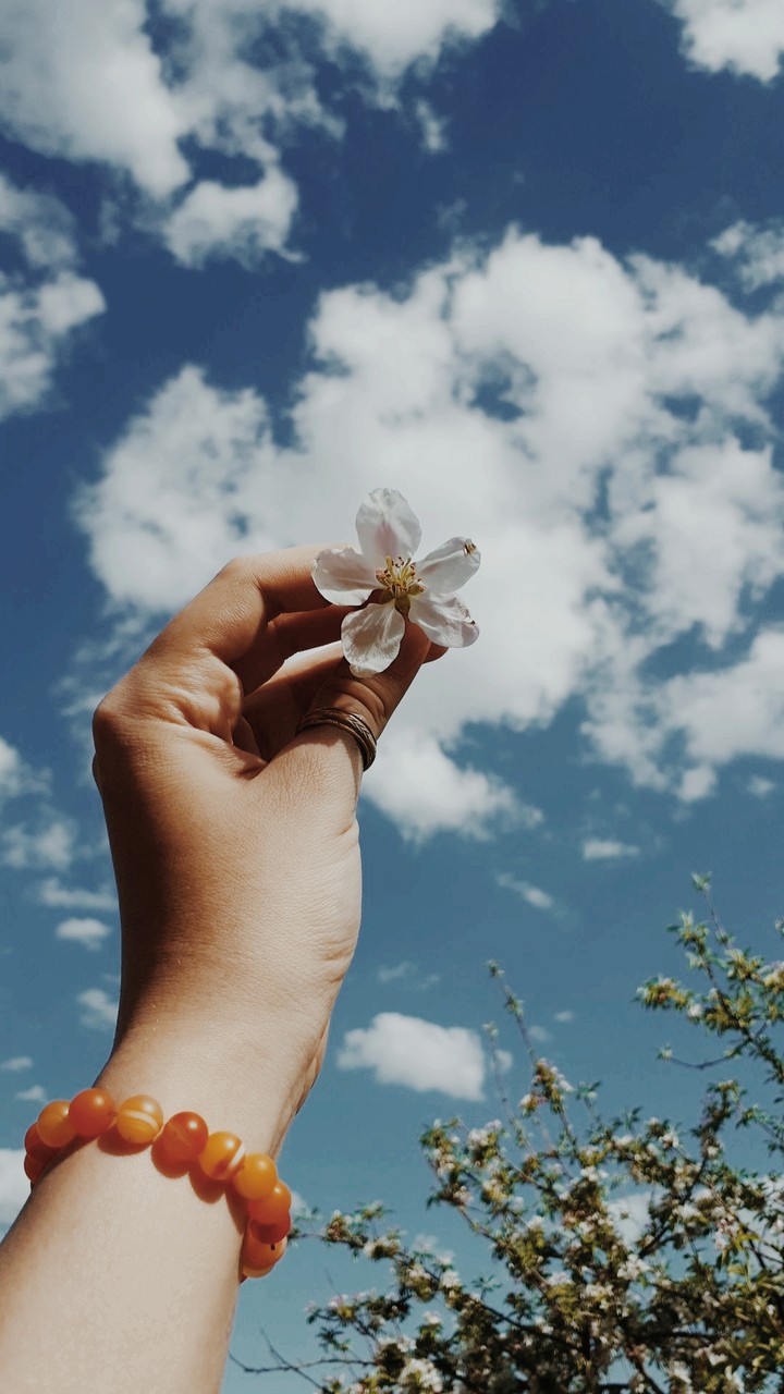 Blue Sky
