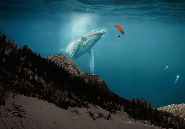 Paragliding with blue whale photoshop art