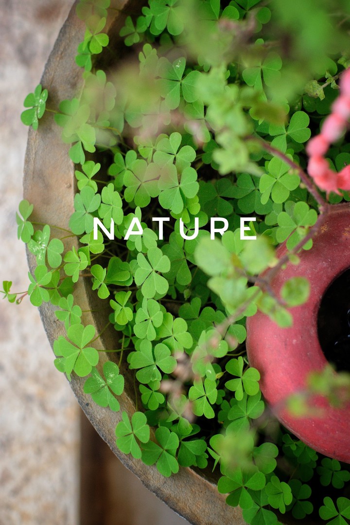 nature