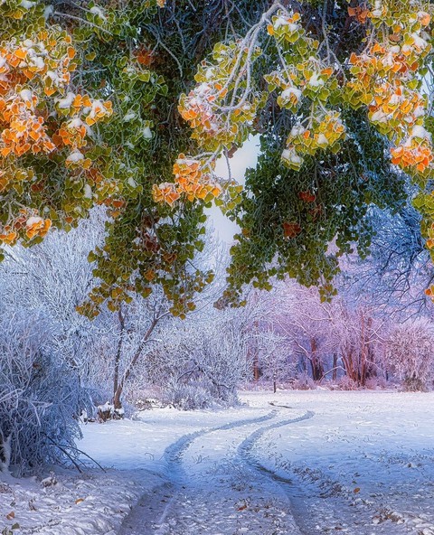 #nature
