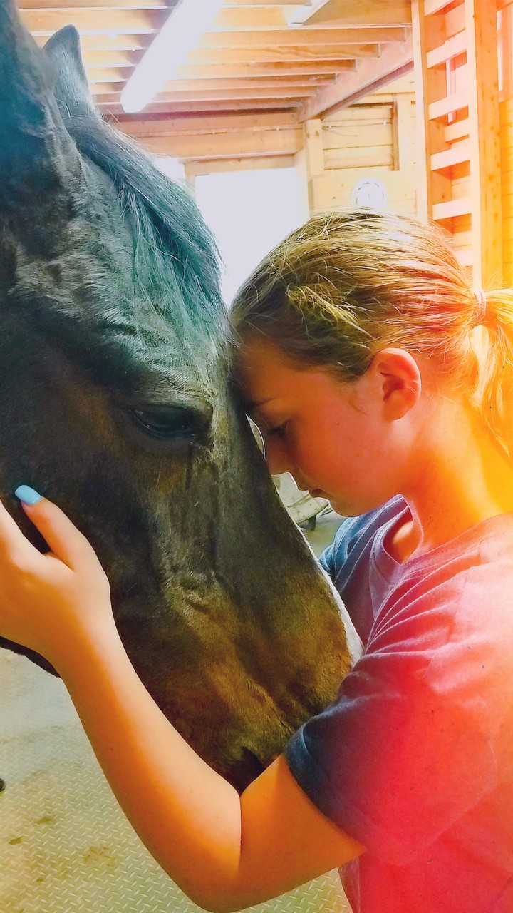 a horse and a girl