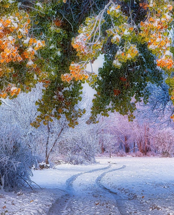 #nature