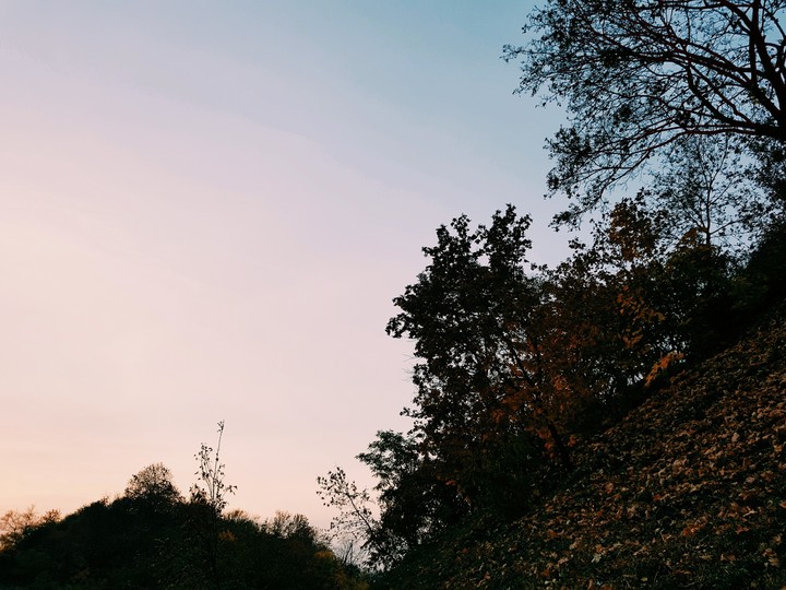 Warmth of Autumn