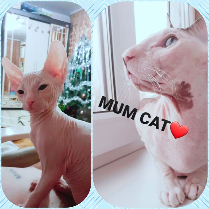 ставте сердечки ♡♡♡