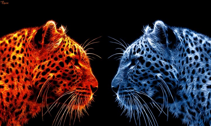 fire and water