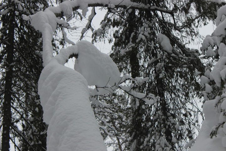 Russian winter