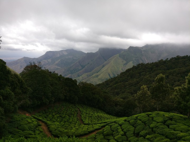 green mountains