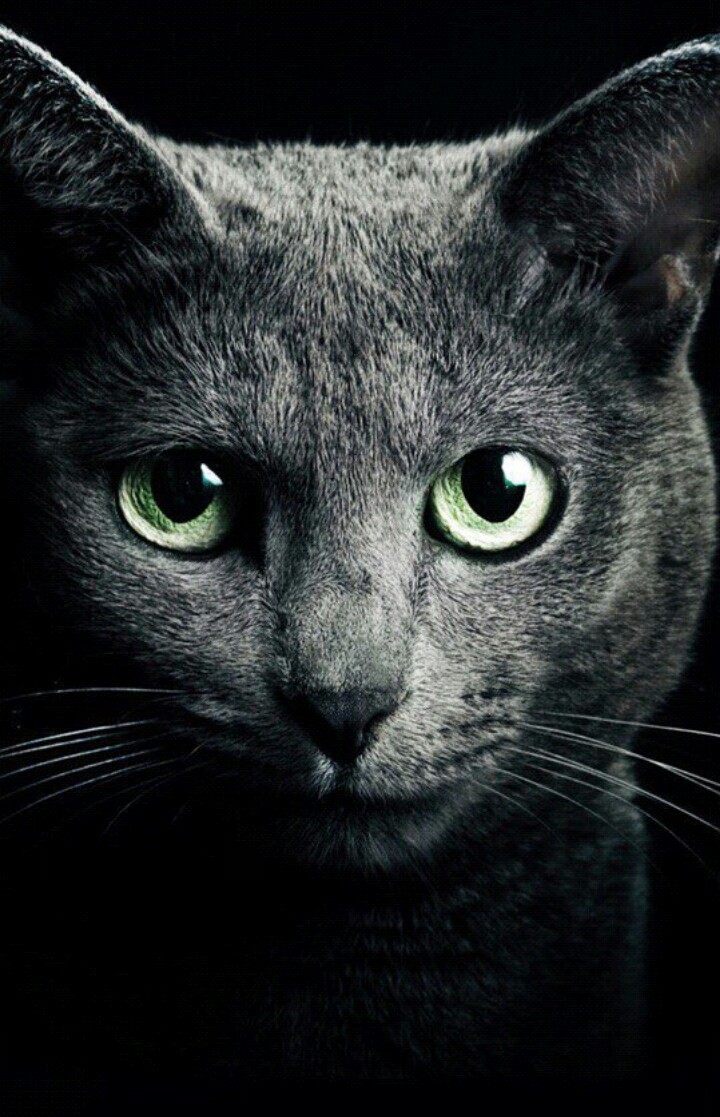 ~