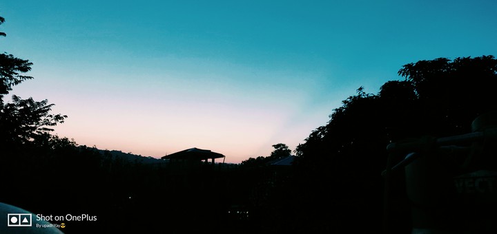 nature
