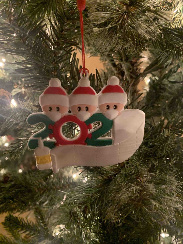 2020 Ornament from my Christmas Tree