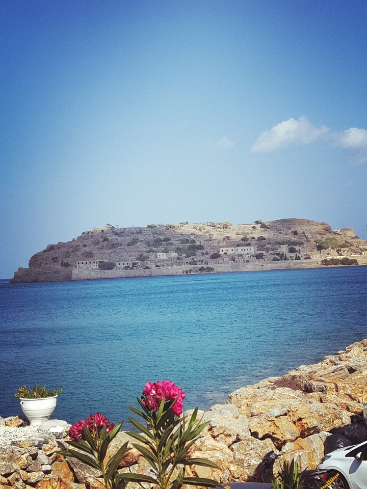 sea, summer, flower, view, spinaloga