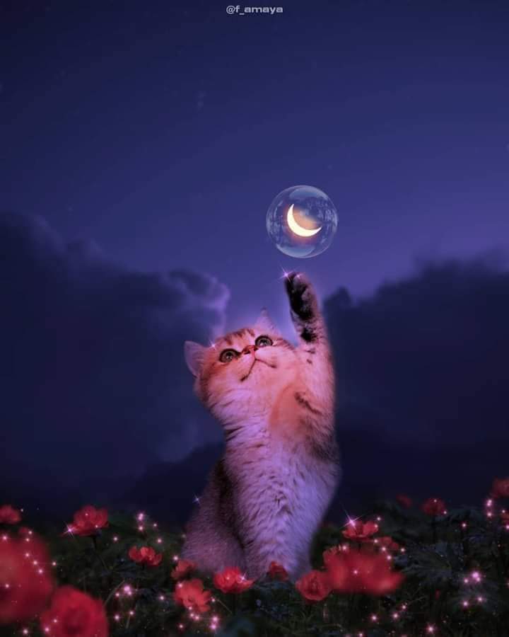 ❤❤❤