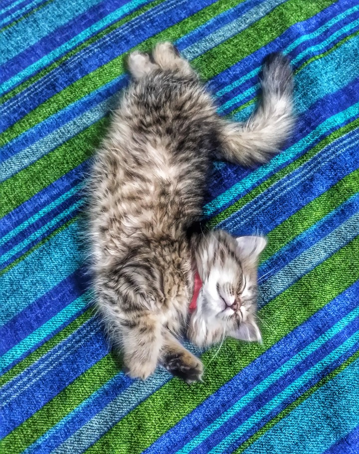 Retchy