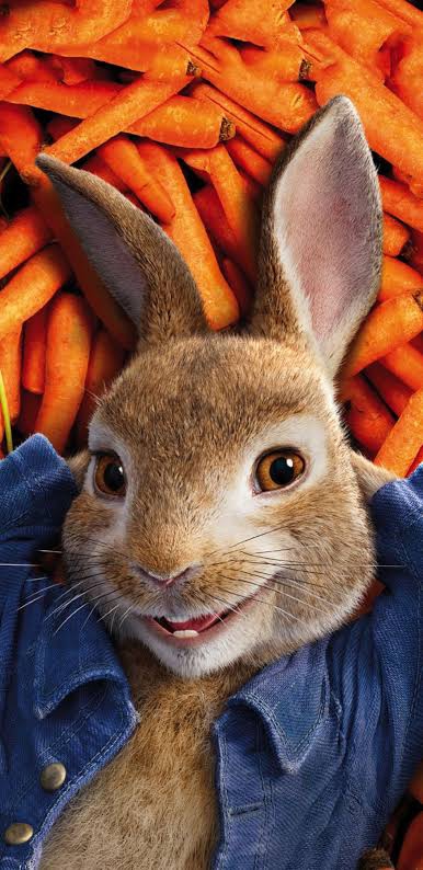Rabbit