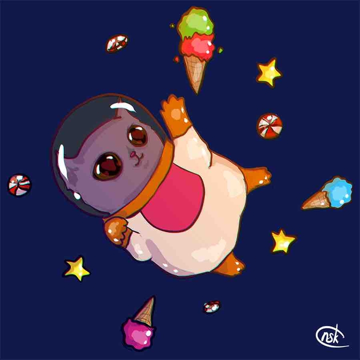 kitty at space