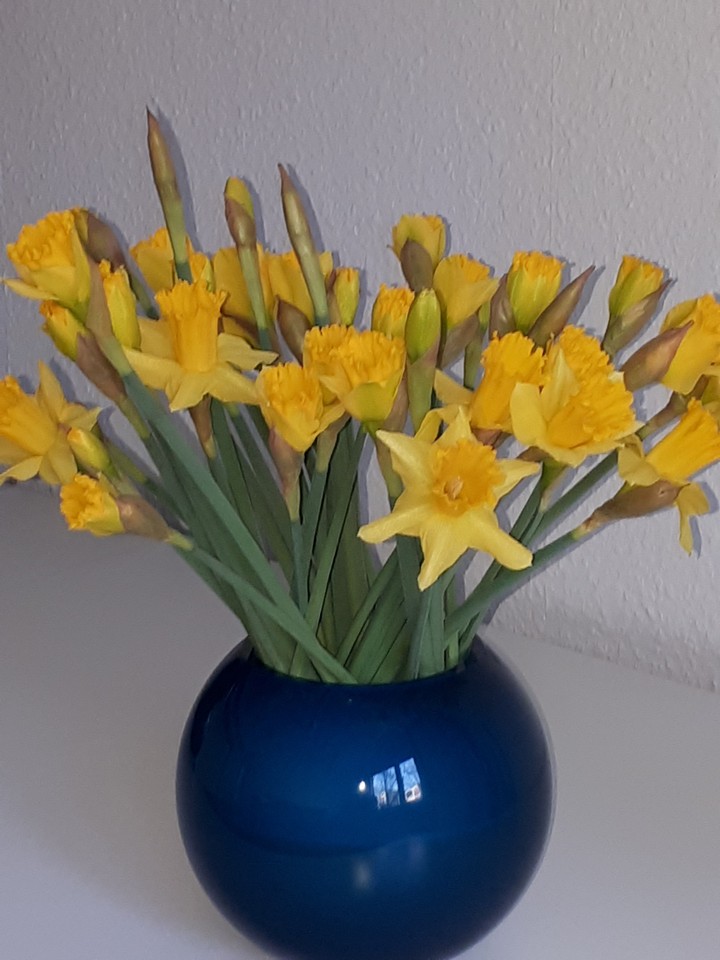 Frühlung