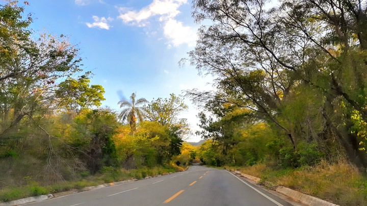 Rodovia Estadual