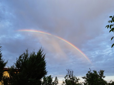 rainbow