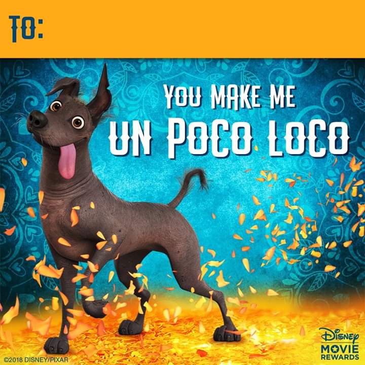 Un poco loco