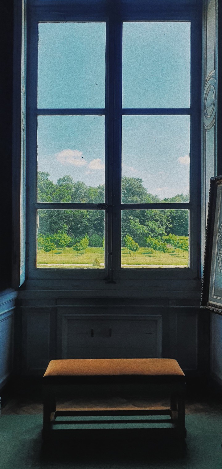 Windows
