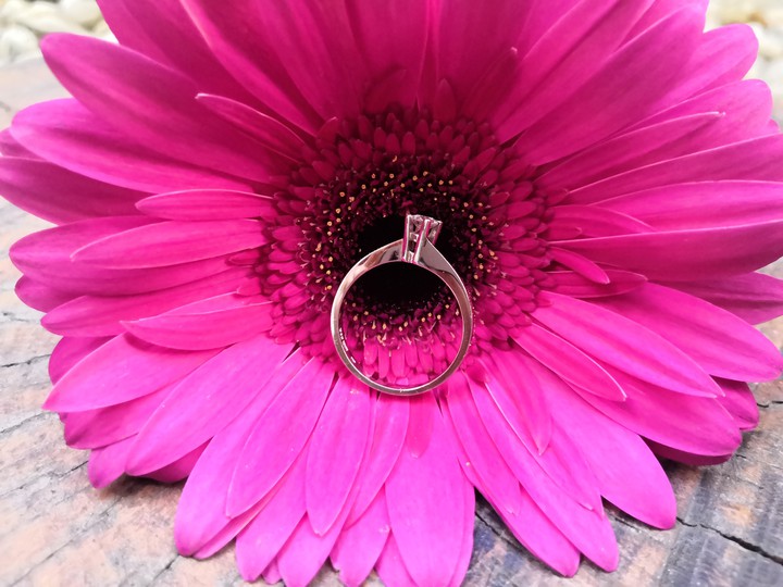 Engagement