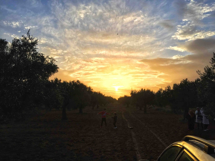 sunset