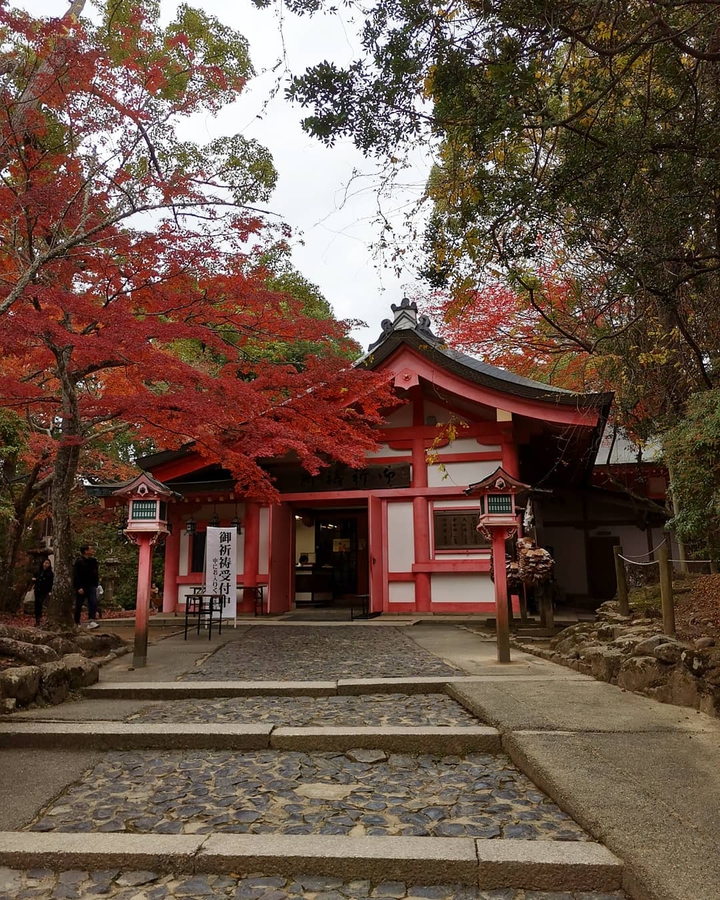 Pink Shrine