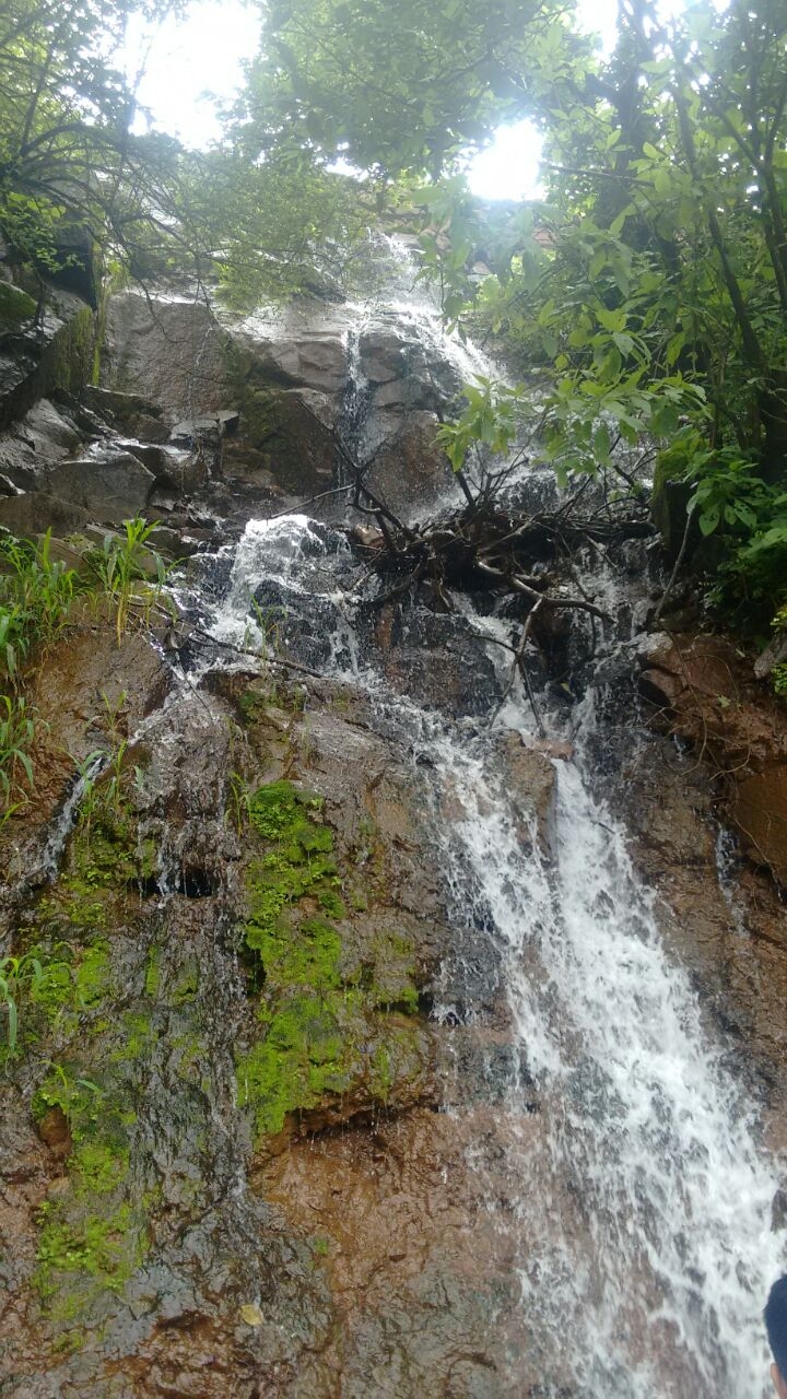 निसर्ग