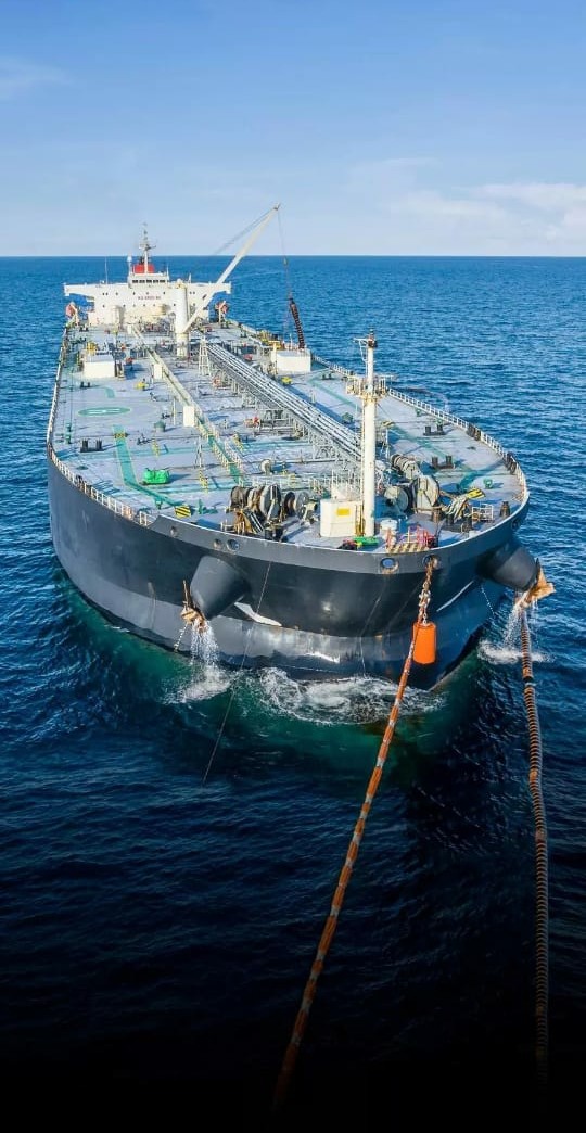 the biggest ship on the earth