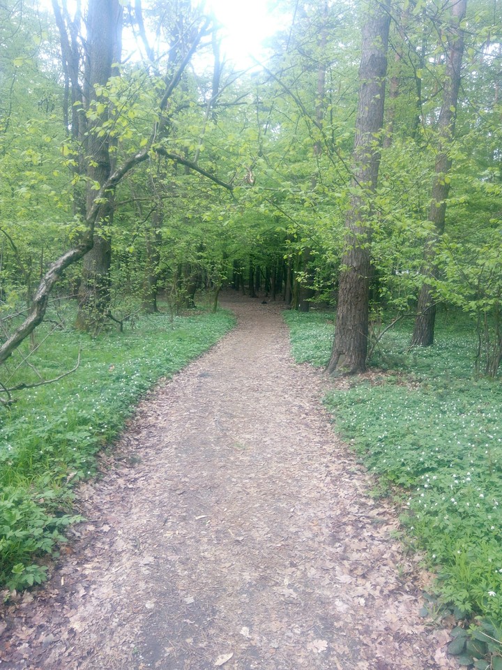 весна