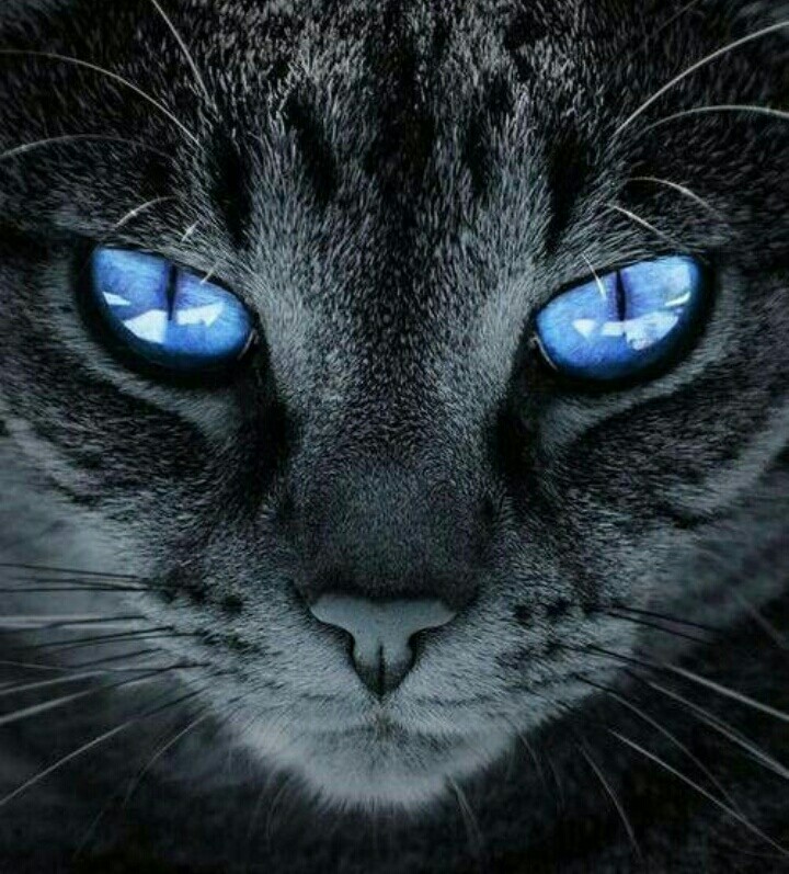 beauty lies in ones eyes...