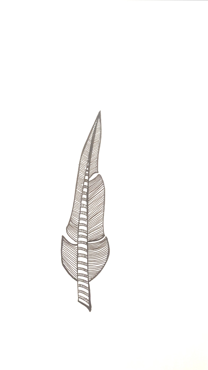 plume