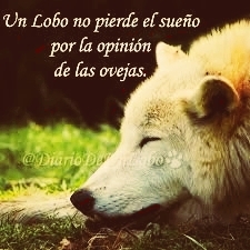 Lobos