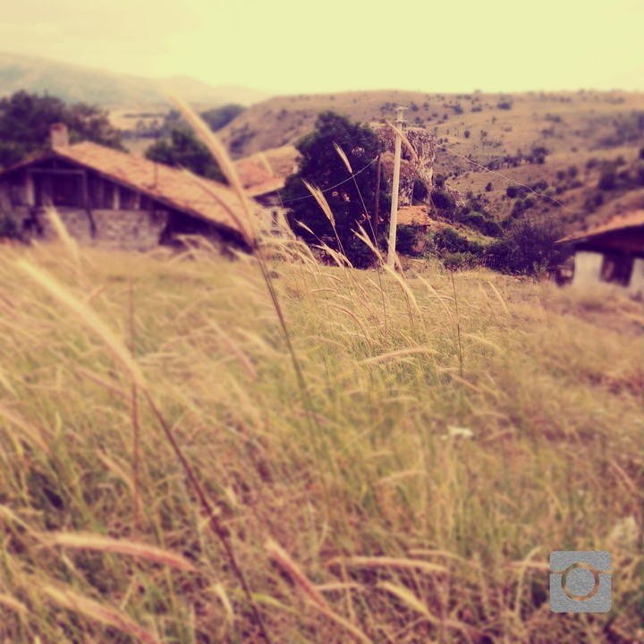 Village Kurtlar