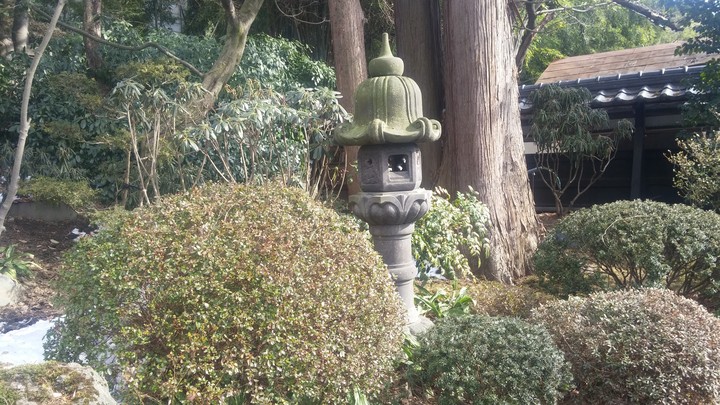 garden in restaurant