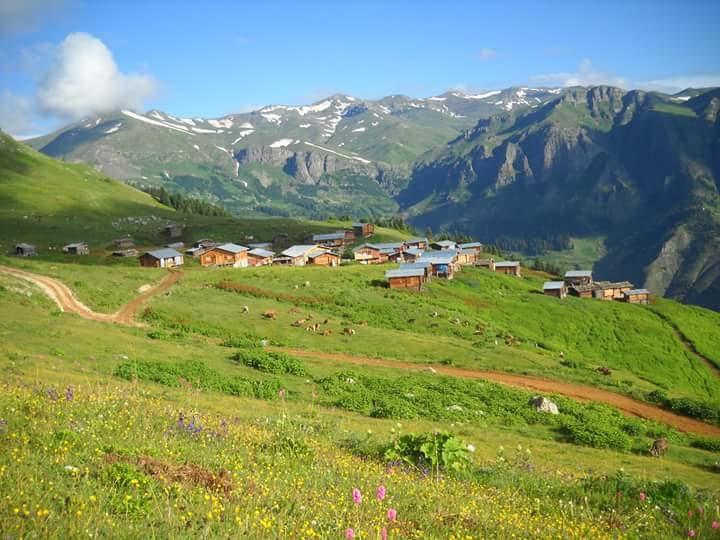 #ŞAVŞAT  #NAPURNEV #YAYLASI