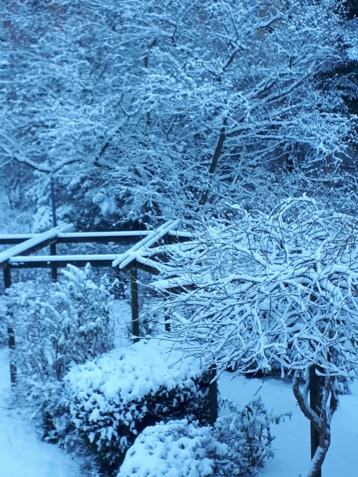 Snow in Germany