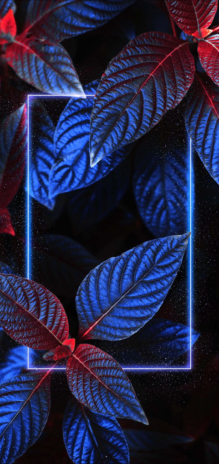 &