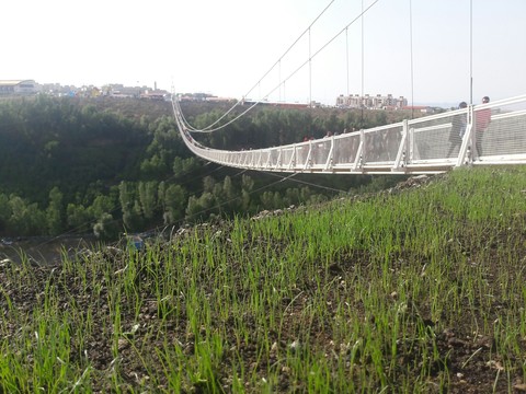 bridge