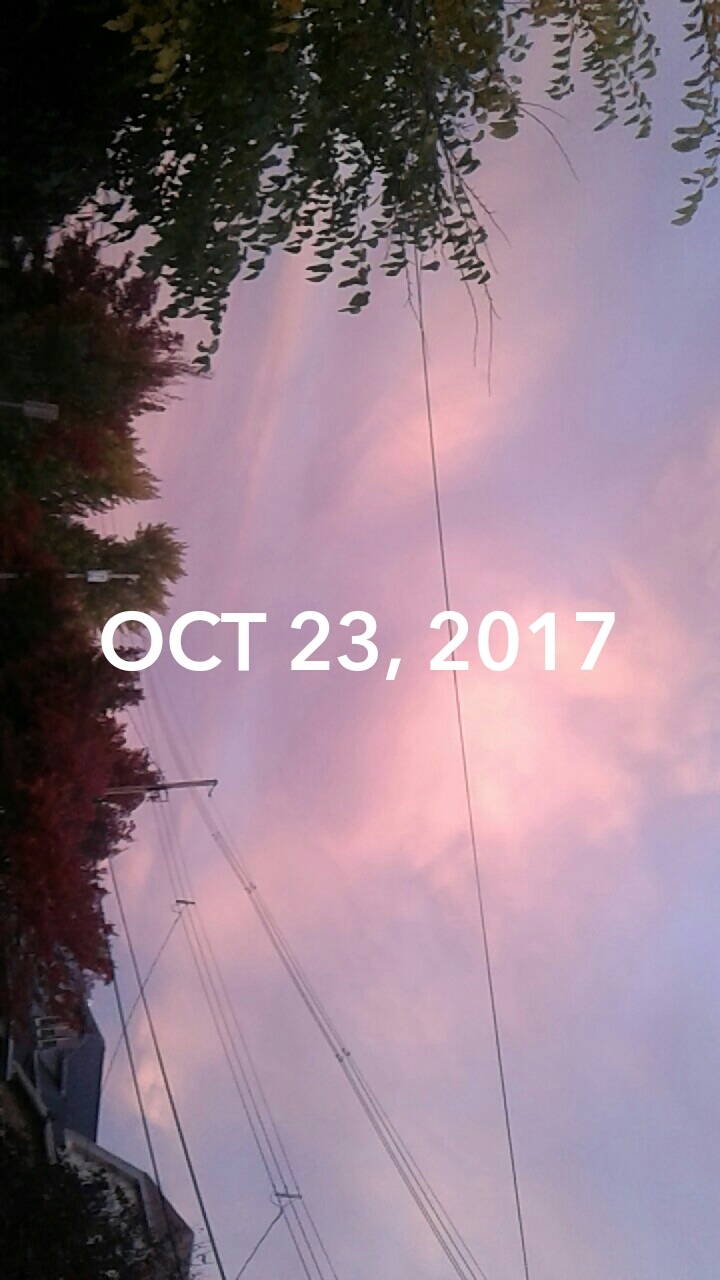 Pinkish Morning