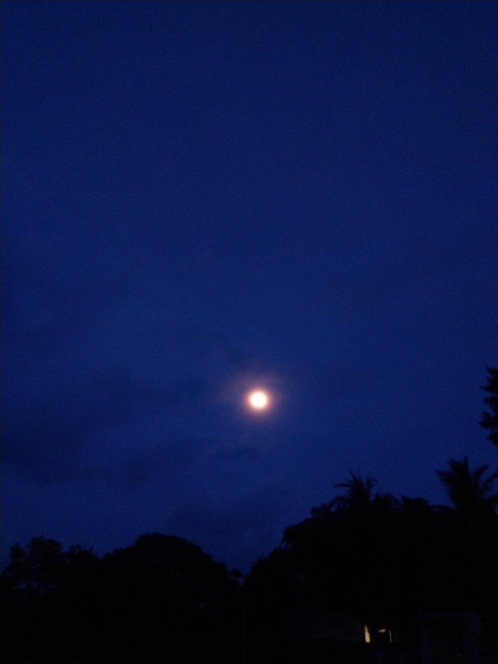 moon❤️