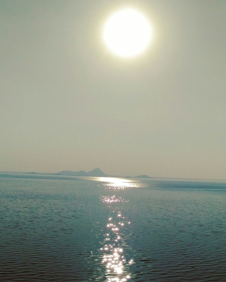 Sunny Day