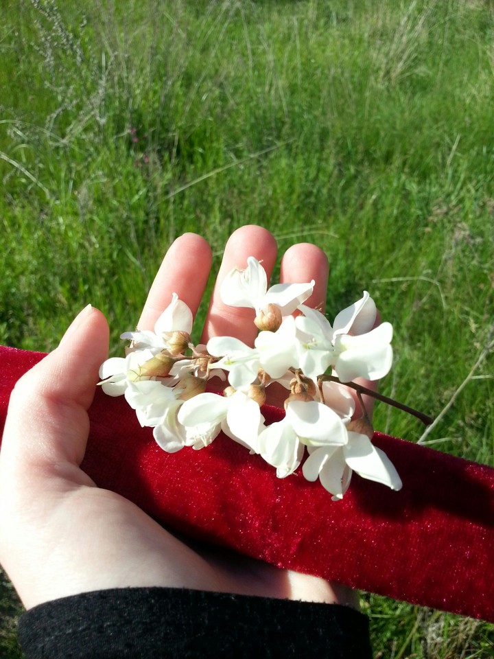 just flower