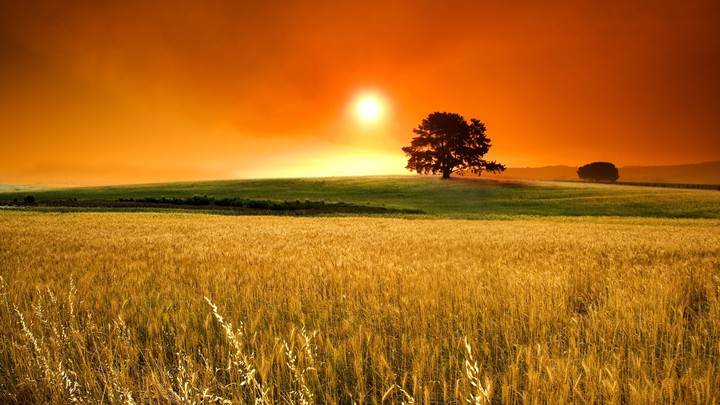 Amazing picture...