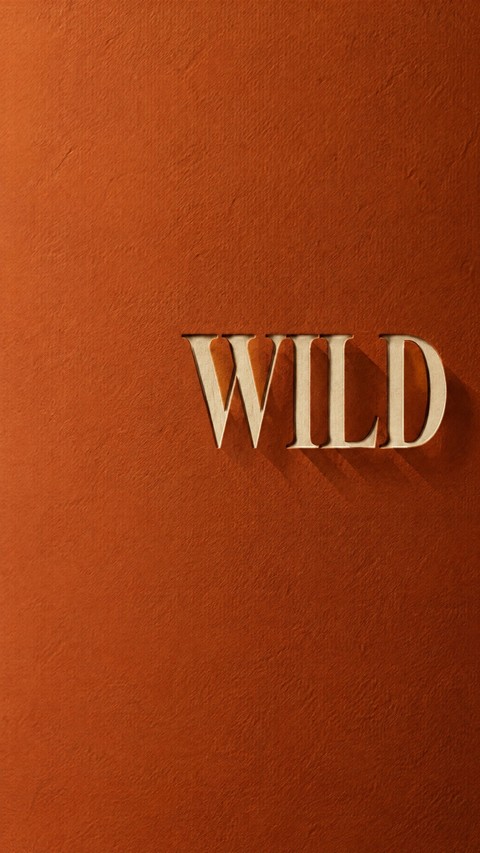 hình nền book, publication