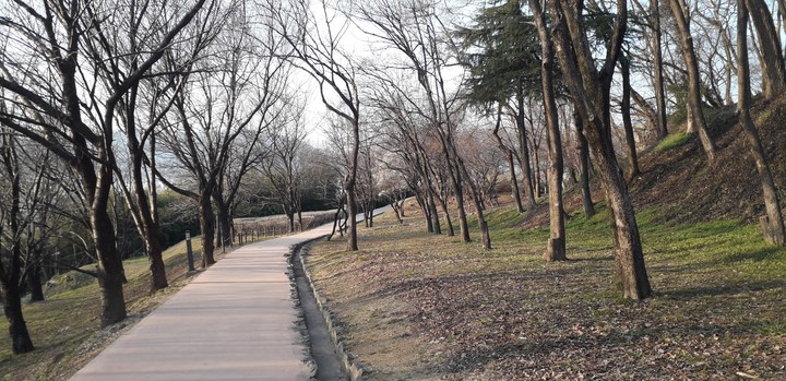 Walk