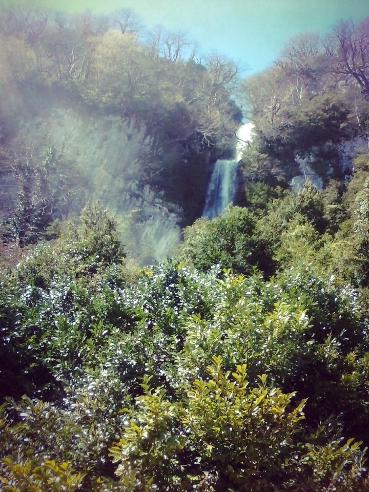 nature
