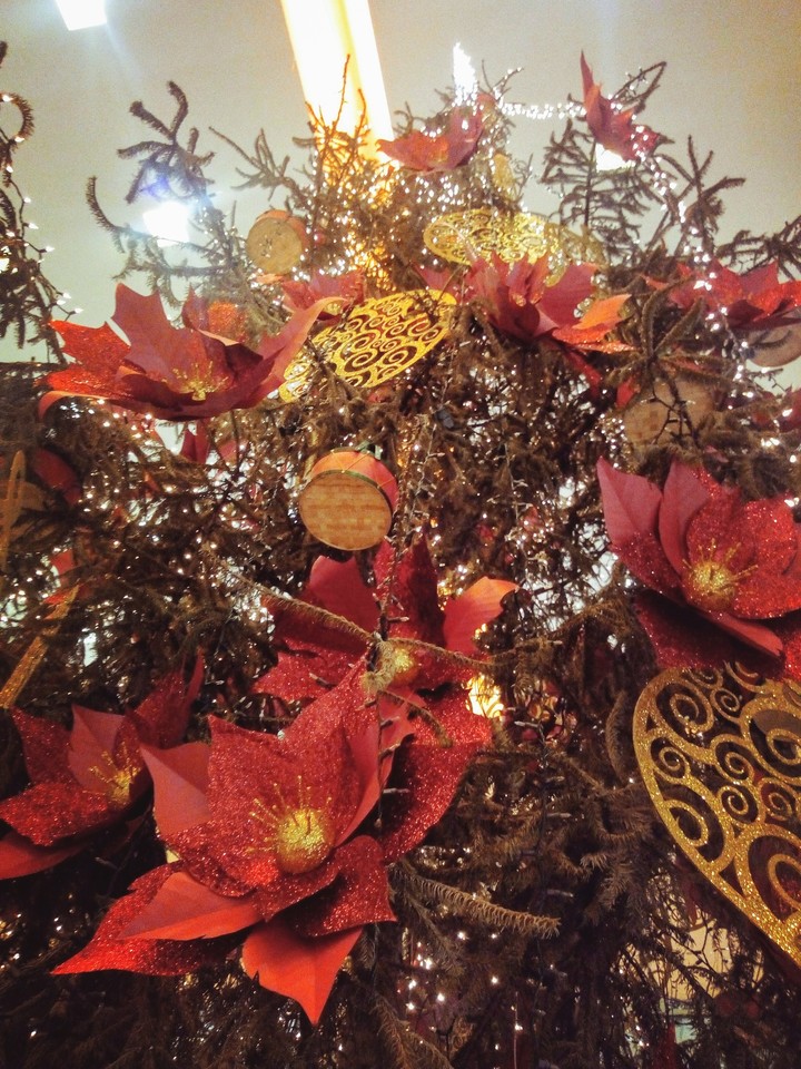 Navidad