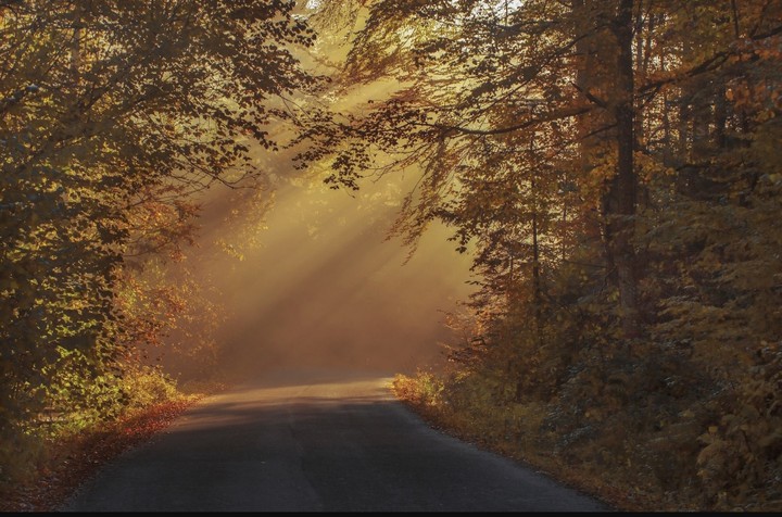 herbstsonne