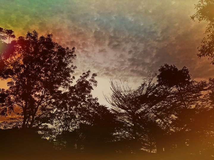 Dawn